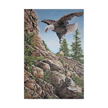 Trademark Fine Art Carol J Rupp 'Eagle Heading Home' Canvas Art, 22x32 ALI39855-C2232GG